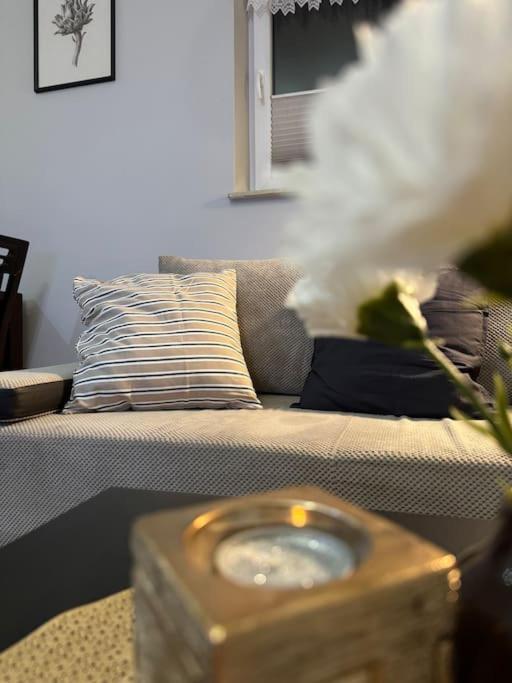 Danka 6Th Floor Chic Apartment كراكوفيا المظهر الخارجي الصورة